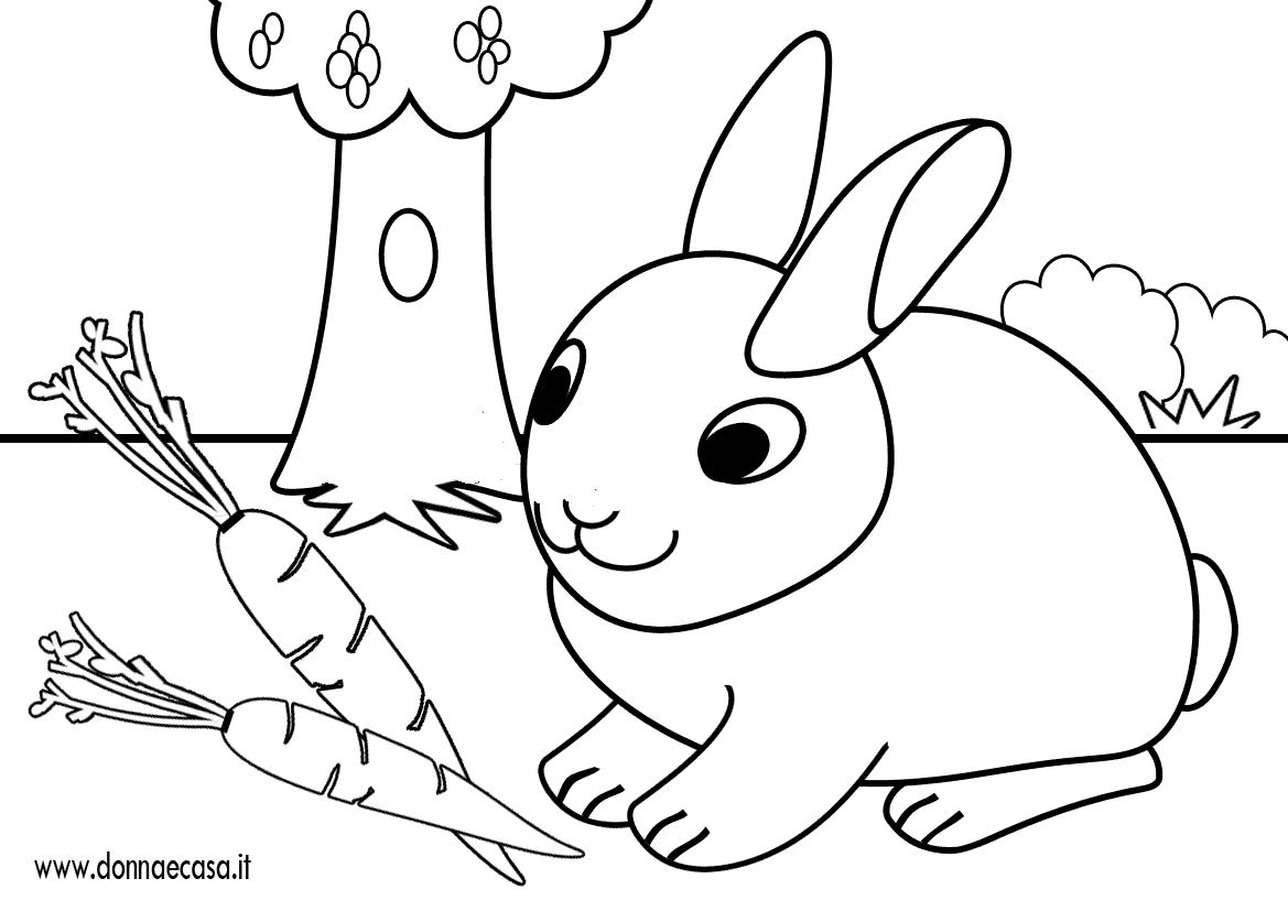 Disegno Di Un Coniglietto Da Colorare