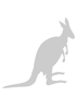 Stencil canguro