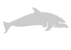 Stencil delfino