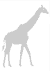 Stencil con giraffa