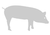 Stencil con la figura di un cavallo