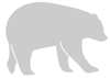 Stencil orso