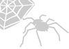 Stencil ragno con ragnatela