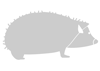 Stencil immagine di un porcospino