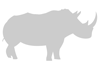 Stencil rinoceronte