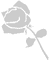 Stencil floreale, una rosa