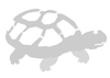 Stencil tartaruga