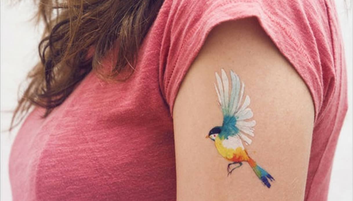 Tatuaggio wondercolor