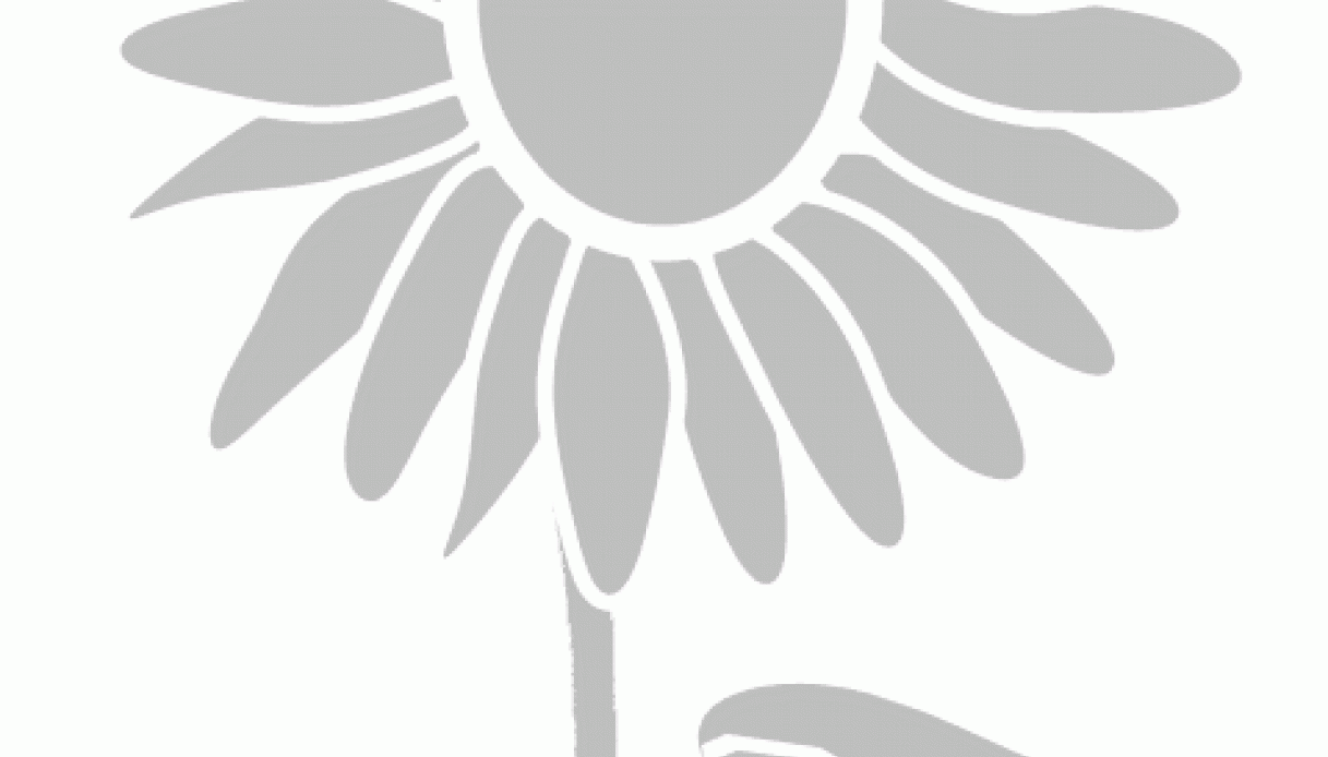 Stencil floreale, girasole