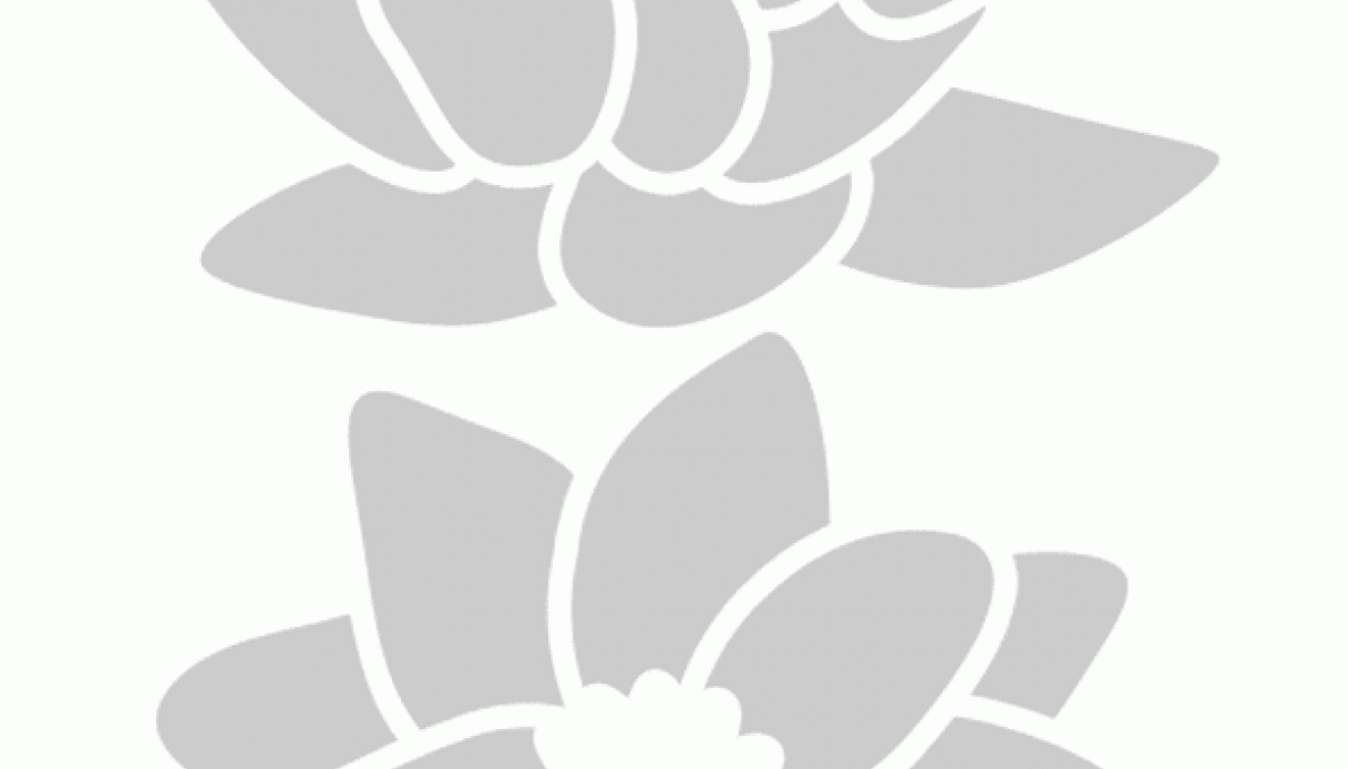 Stencil fiore di loto