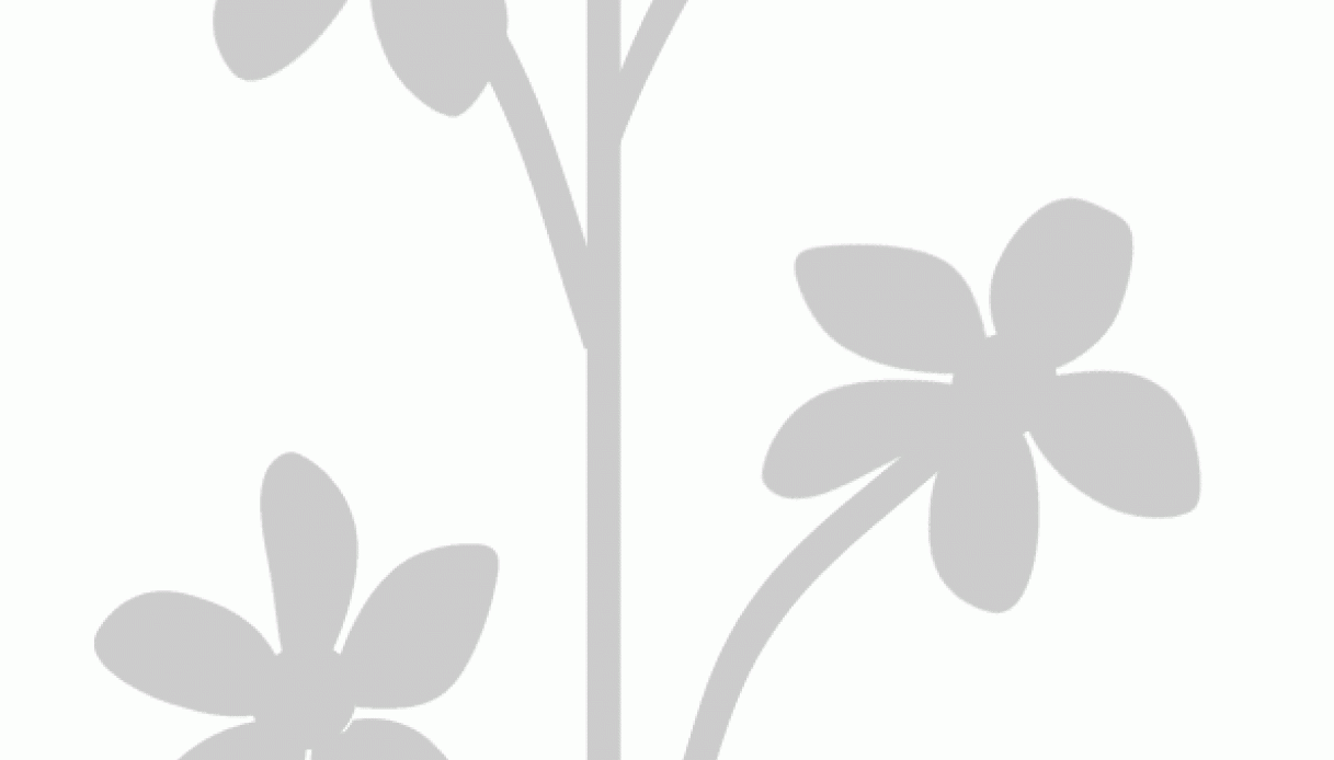 Stencil floreale, greca a 4 fiori