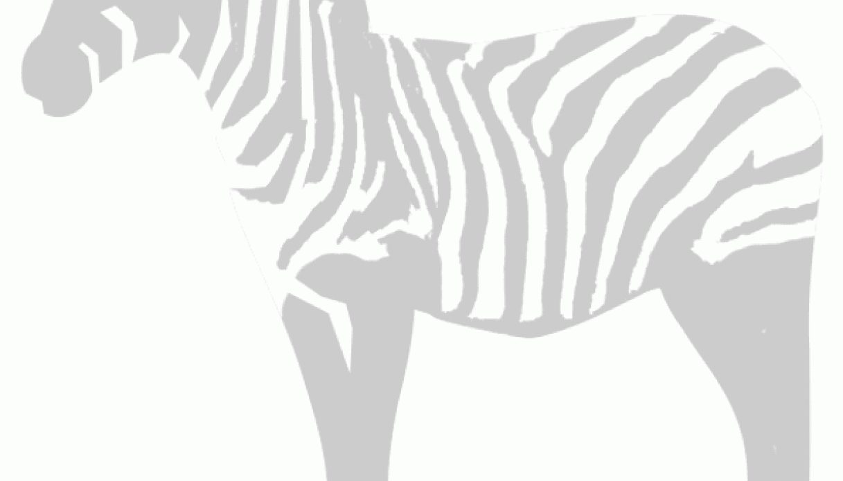 Stencil zebra