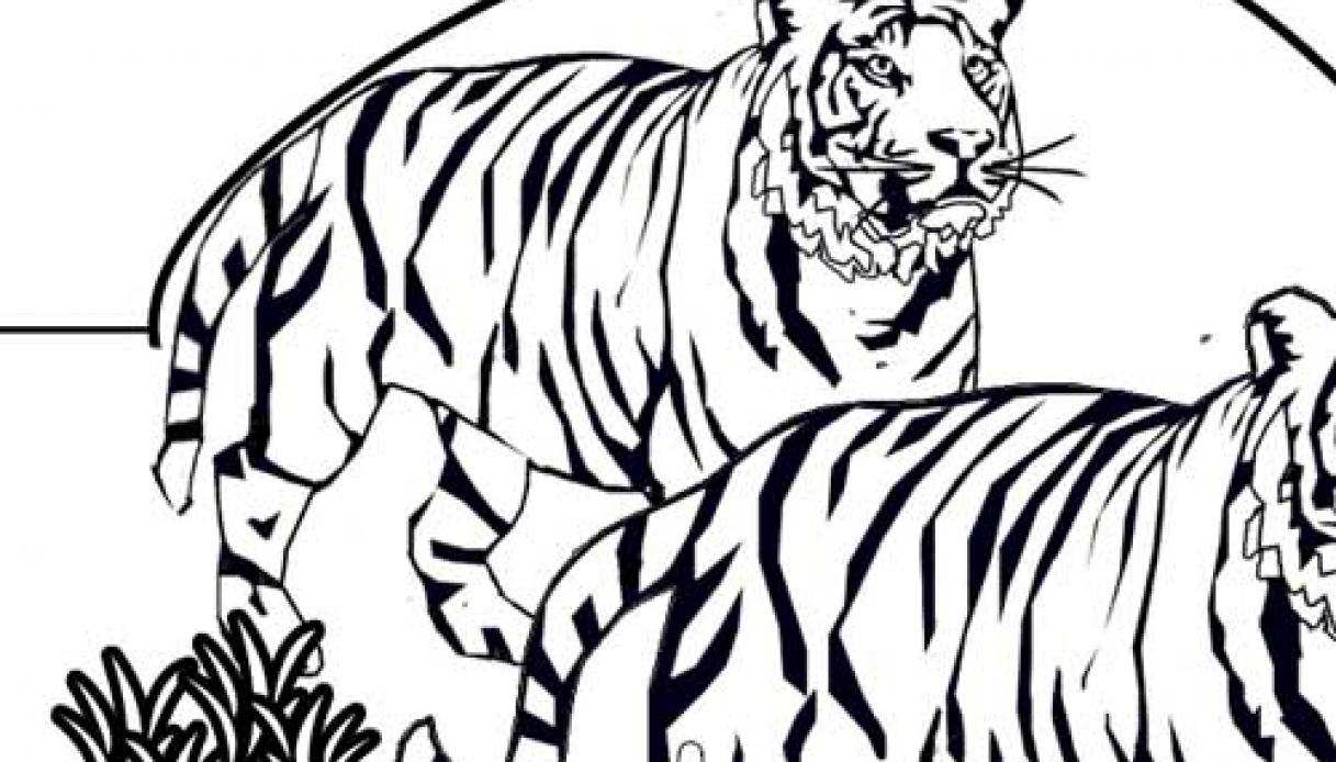 Disegno di un gruppo di tigri da colorare