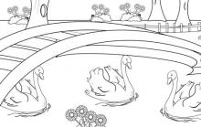 Disegno laghetto con cigni