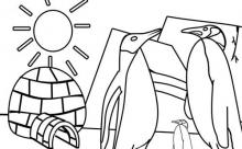 Disegno pinguini reali al polo
