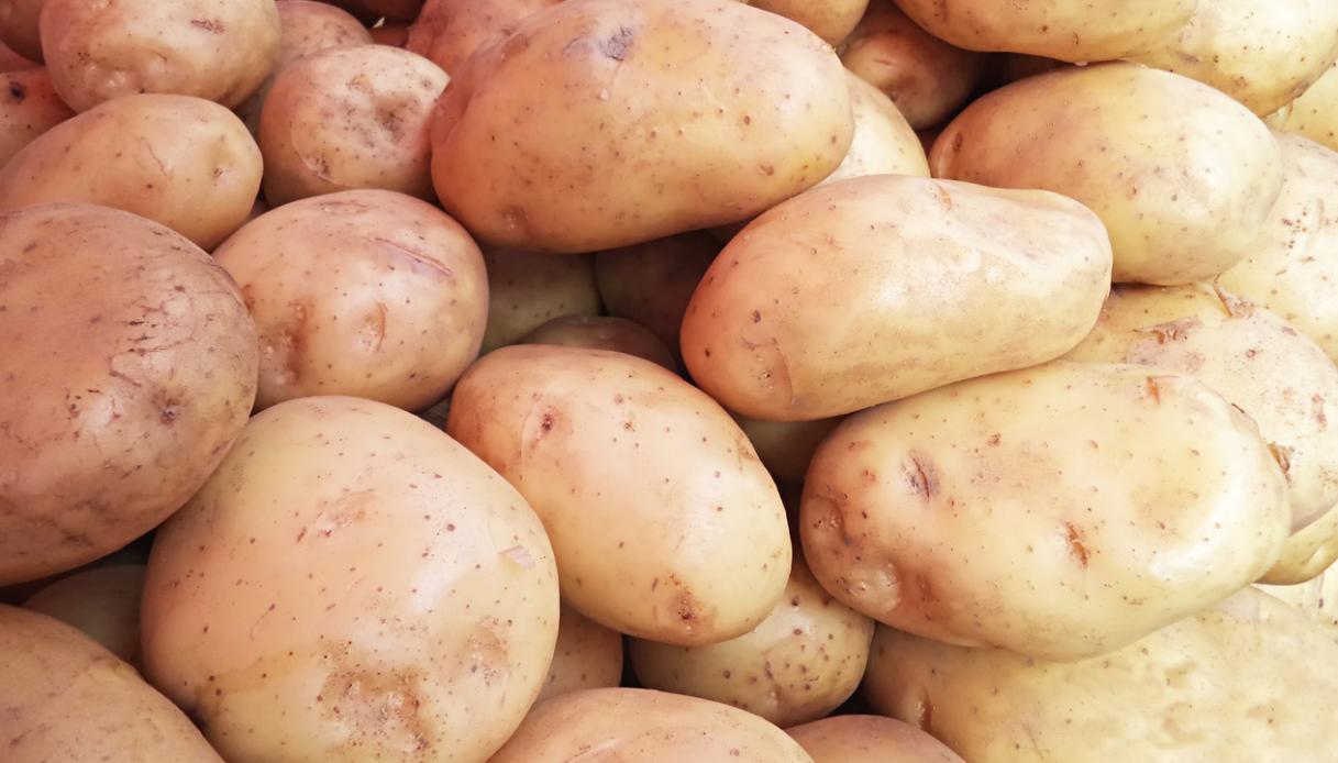 La patata da friggere e le varietà di patate