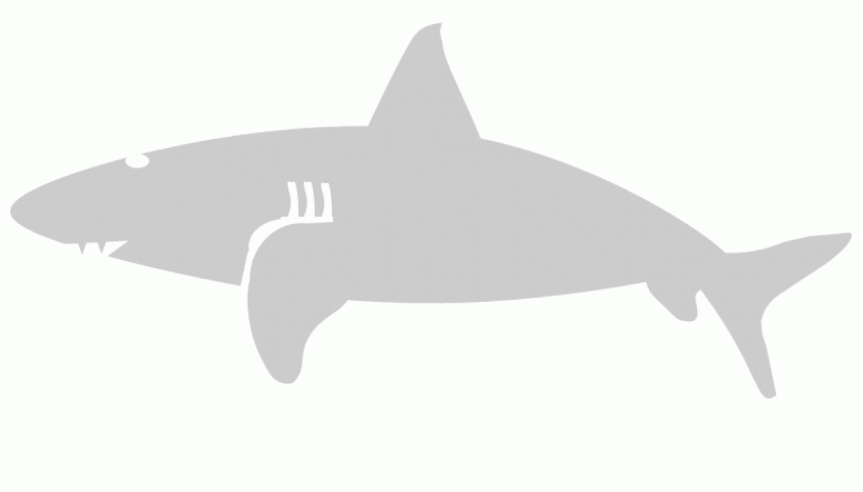 Stencil squalo